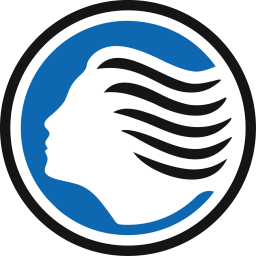 亚特兰大队